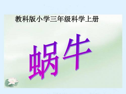 教科版小学三年级科学上册《蜗牛》课件