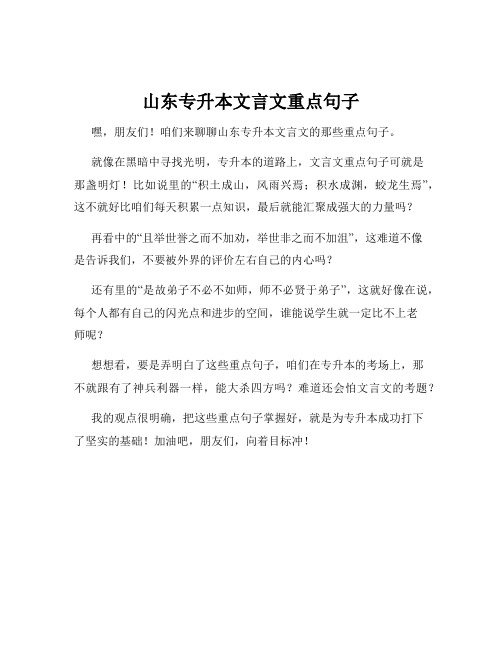 山东专升本文言文重点句子