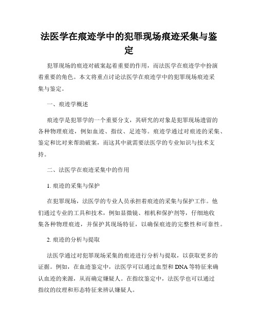 法医学在痕迹学中的犯罪现场痕迹采集与鉴定