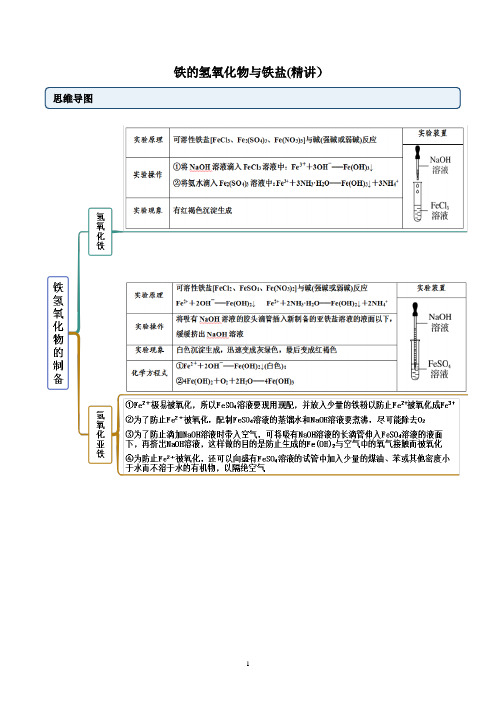 高一上化学铁的氢氧化物与铁盐(精讲)(解析版)