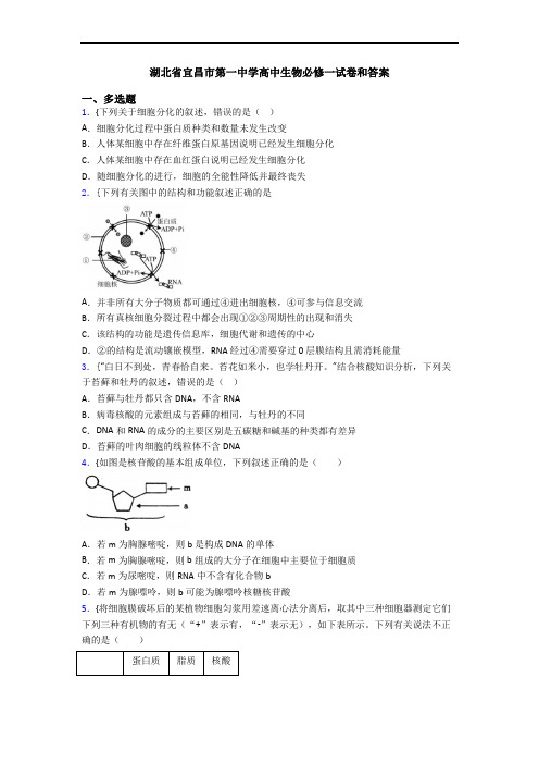 湖北省宜昌市第一中学高中生物必修一试卷和答案