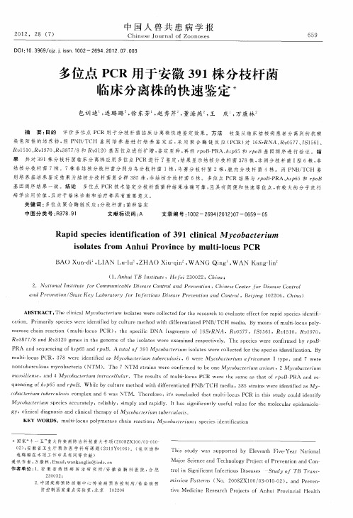 多位点PCR用于安徽391株分枝杆菌临床分离株的快速鉴定