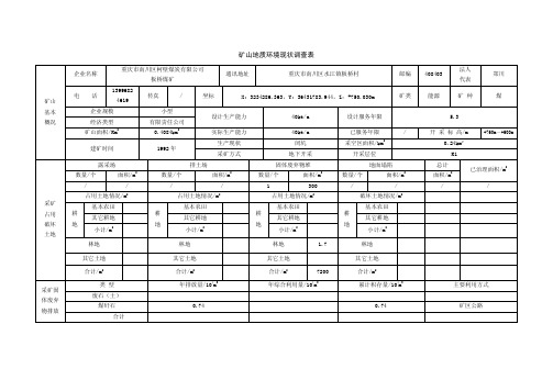 矿山地质环境现状调查表（标准版）