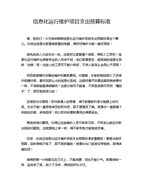 信息化运行维护项目支出预算标准