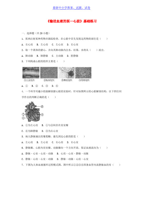 七年级生物下册第四单元第四章第三节输送血液的泵_心脏基础练习新版