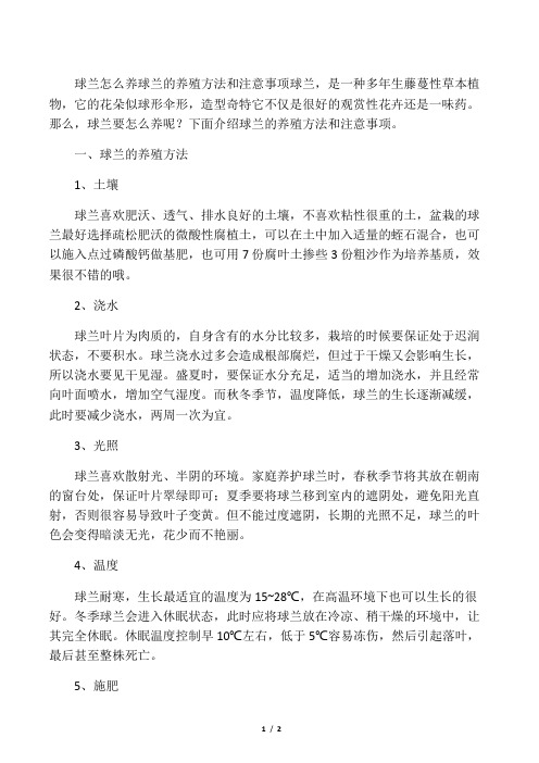 球兰怎么养 球兰的养殖方法和注意事