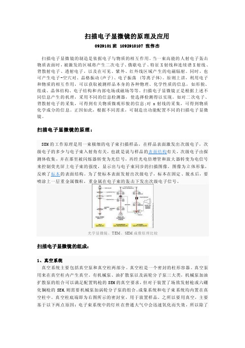 扫描电子显微镜的原理及应用