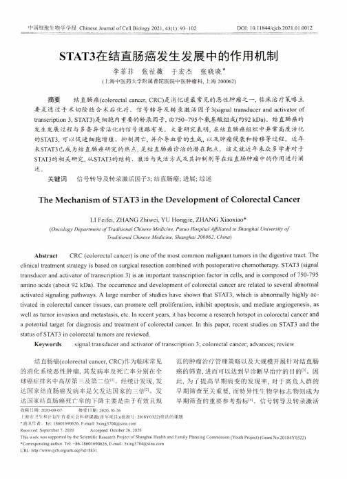 STAT3在结直肠癌发生发展中的作用机制