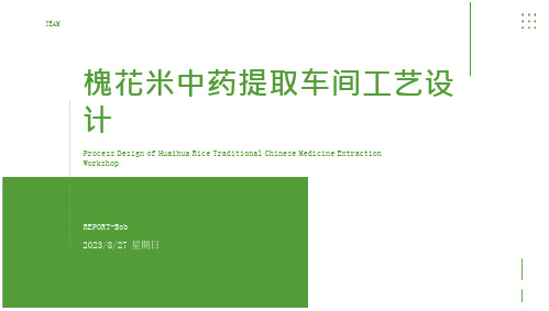 2023年年处理500吨槐花米的中药提取车间工艺设计