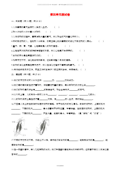 四年级科学上册第四单元综合测试卷含解析教科版48