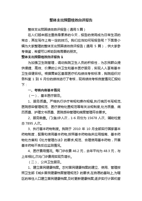 整体支出预算绩效自评报告（通用5篇）