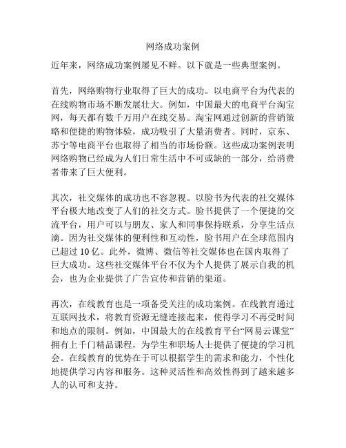 网络成功案例