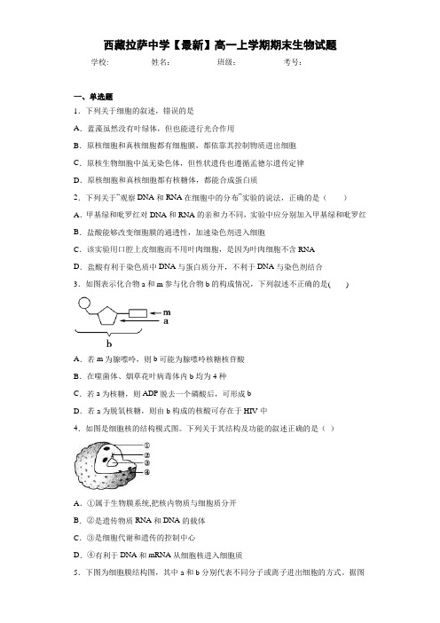 西藏拉萨中学高一上学期期末生物试题