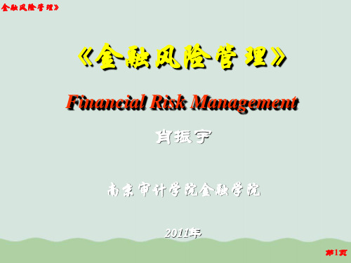 金融风险管理概述(PPT 36页)