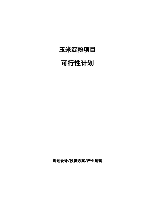 玉米淀粉项目可行性计划
