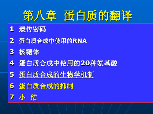 分子生物学--蛋白质的翻译课件