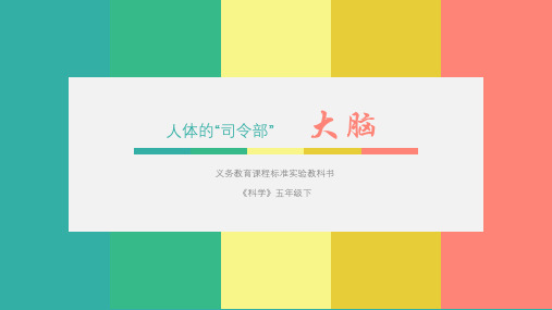 小学科学优质课PPT：认识我们的大脑