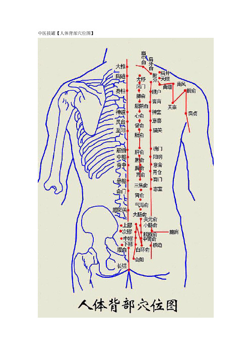 中医拔罐【人体背部穴位图】