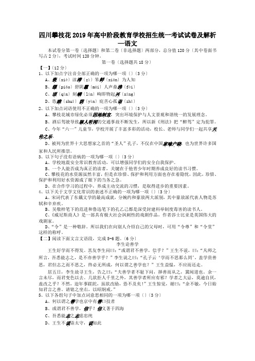 四川攀枝花2019年高中阶段教育学校招生统一考试试卷及解析—语文