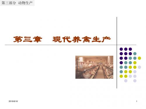 动物科学概论第二篇课件 第三章 现代养禽生产