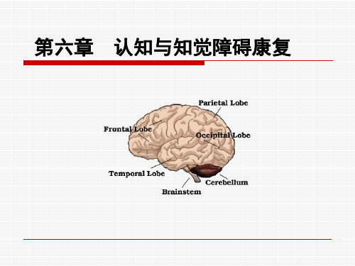 认知知觉障碍的康复评价与训练