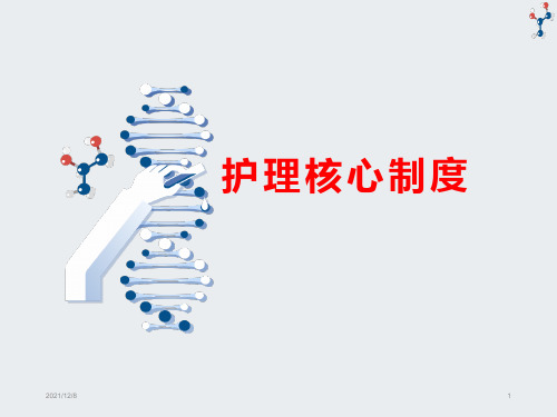 护理核心制度PPT课件