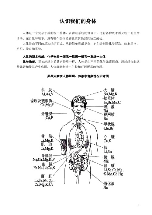 组织系统