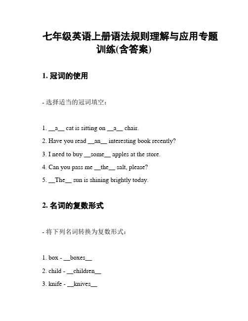 七年级英语上册语法规则理解与应用专题训练(含答案)