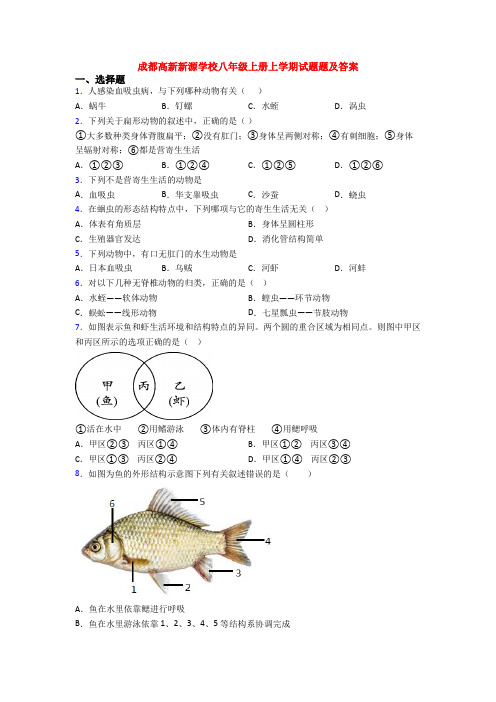 成都高新新源学校八年级上册上学期试题题及答案