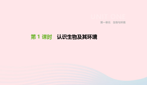 2019年中考生物专题复习一生物与环境第01课时认识生物及其环境课件新人教版201901114101