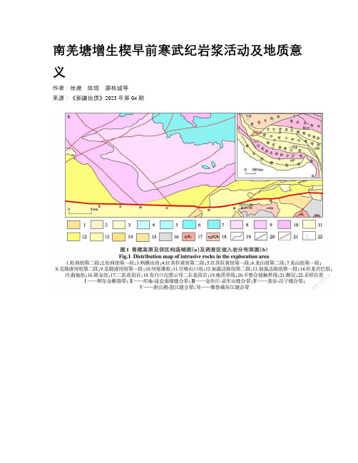 南羌塘增生楔早前寒武纪岩浆活动及地质意义