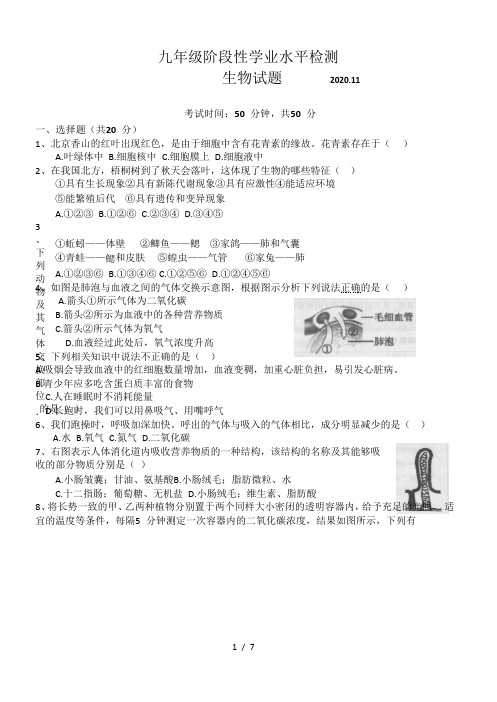 2020-2021年度第一学期山东省菏泽市九年级期中生物试卷(Word版,含答案)