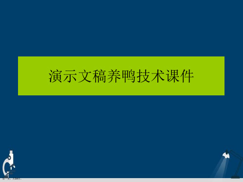 演示文稿养鸭技术课件