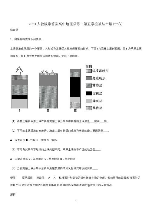 2023人教版带答案高中地理必修一第五章植被与土壤(十六)