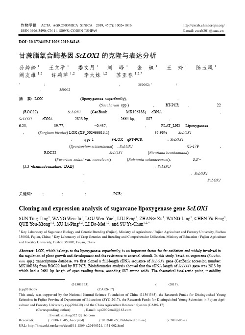 甘蔗脂氧合酶基因ScLOX1的克隆与表达分析