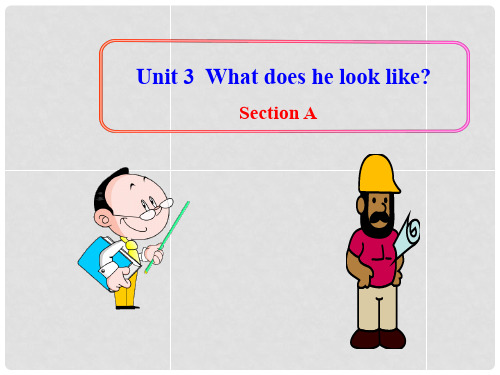 七年级英语上册 Unit 3 What does he look like Section A课件 鲁教版