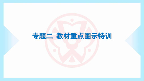 2024年人教版七年级上册生物期末复习专题二 教材重点图示特训