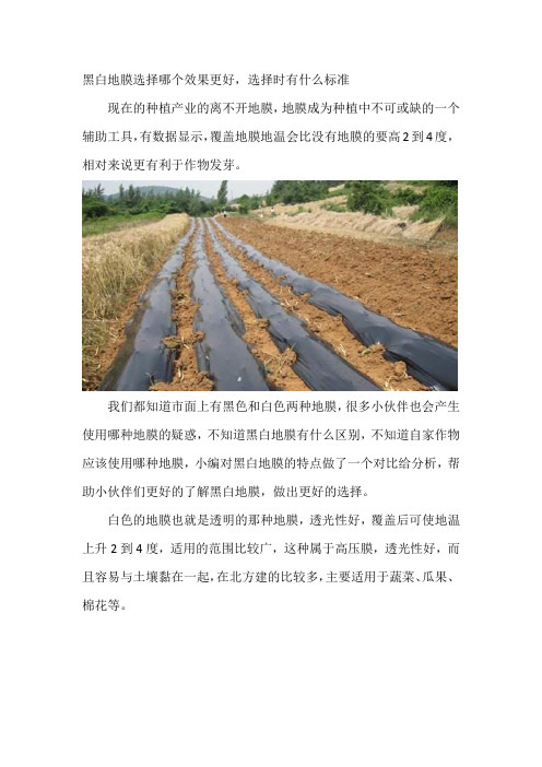 黑白地膜的区别以及使用技巧