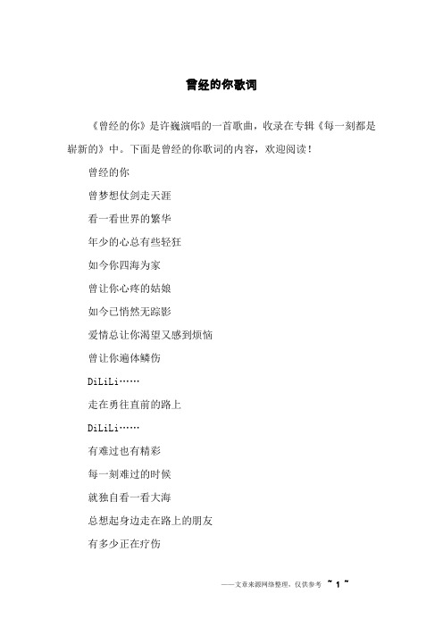 曾经的你歌词
