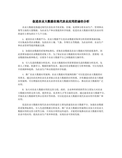 促进农业大数据在现代农业应用的途径分析