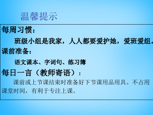 (赛课课件)五年级上册语文《寻找幸运花瓣》(共22张PPT)