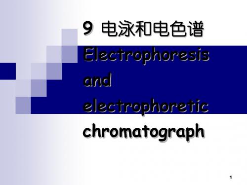 chapter9电泳和电色谱