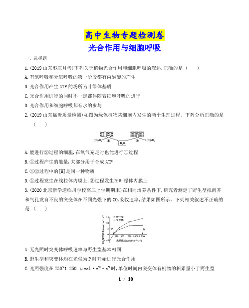 高中生物专题检测卷：光合作用与细胞呼吸(含答案详解)