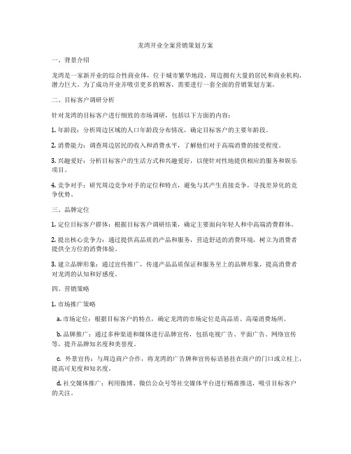 龙湾开业全案营销策划方案