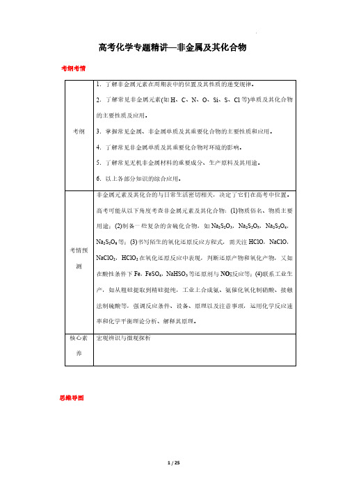 高考化学专题精讲—非金属及其化合物