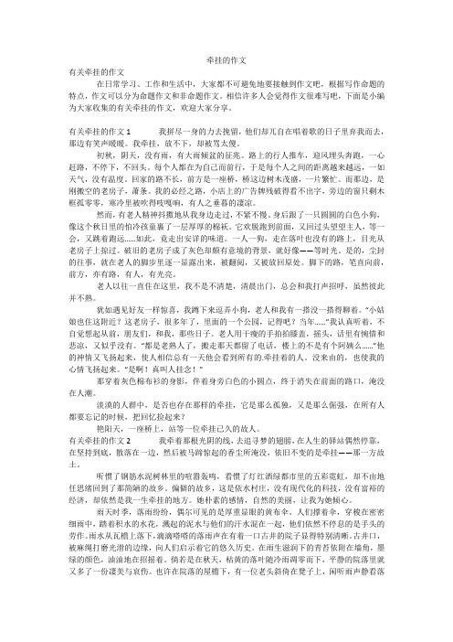 牵挂的作文_17