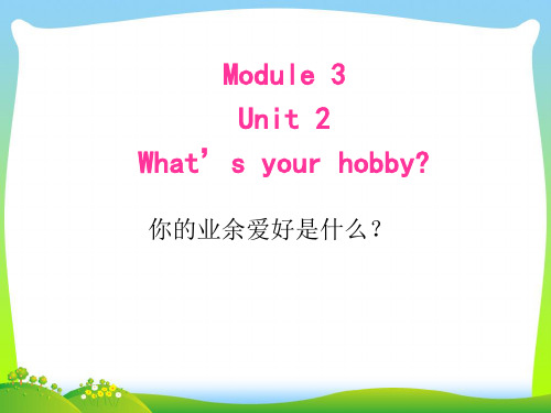 新外研版六年级英语上册M3U2 What's your hobby？课件.ppt