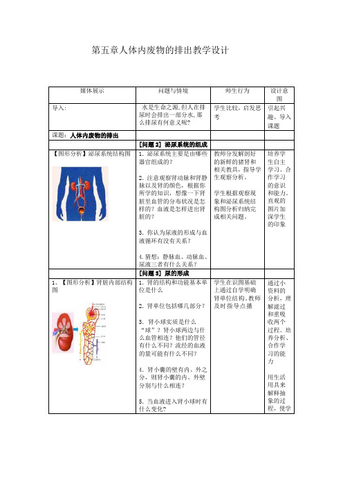 人教版七年级下册生物第五章《人体内废物的排出》教学设计