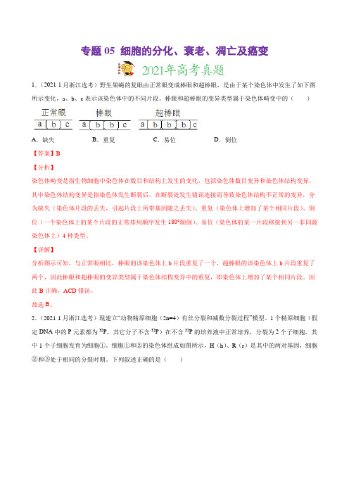 高中生物高考专题05 细胞的分化、衰老、凋亡及癌变-2021年高考真题和模拟题生物分项汇编(解析版)