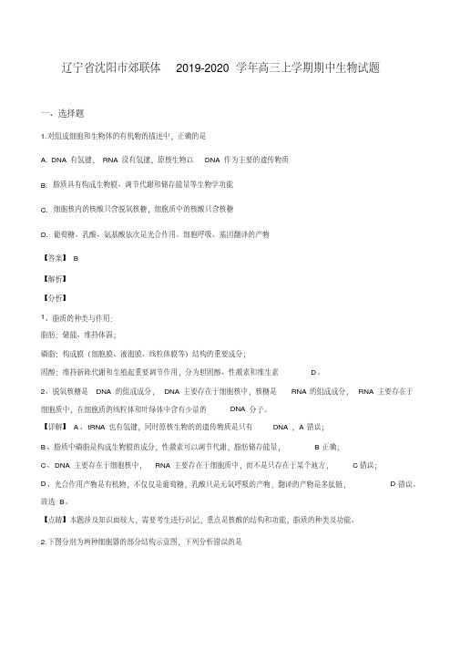 辽宁省沈阳市郊联体2019-2020学年高三上学期期中生物试题(解析版)